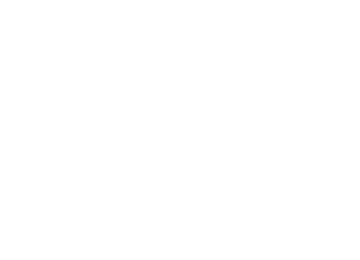 Nissi Project
